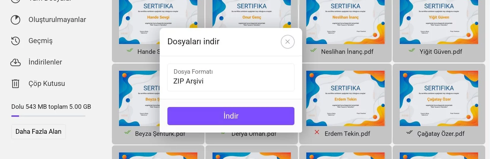 Seçili dosyaların indirilmesi - format seçimi