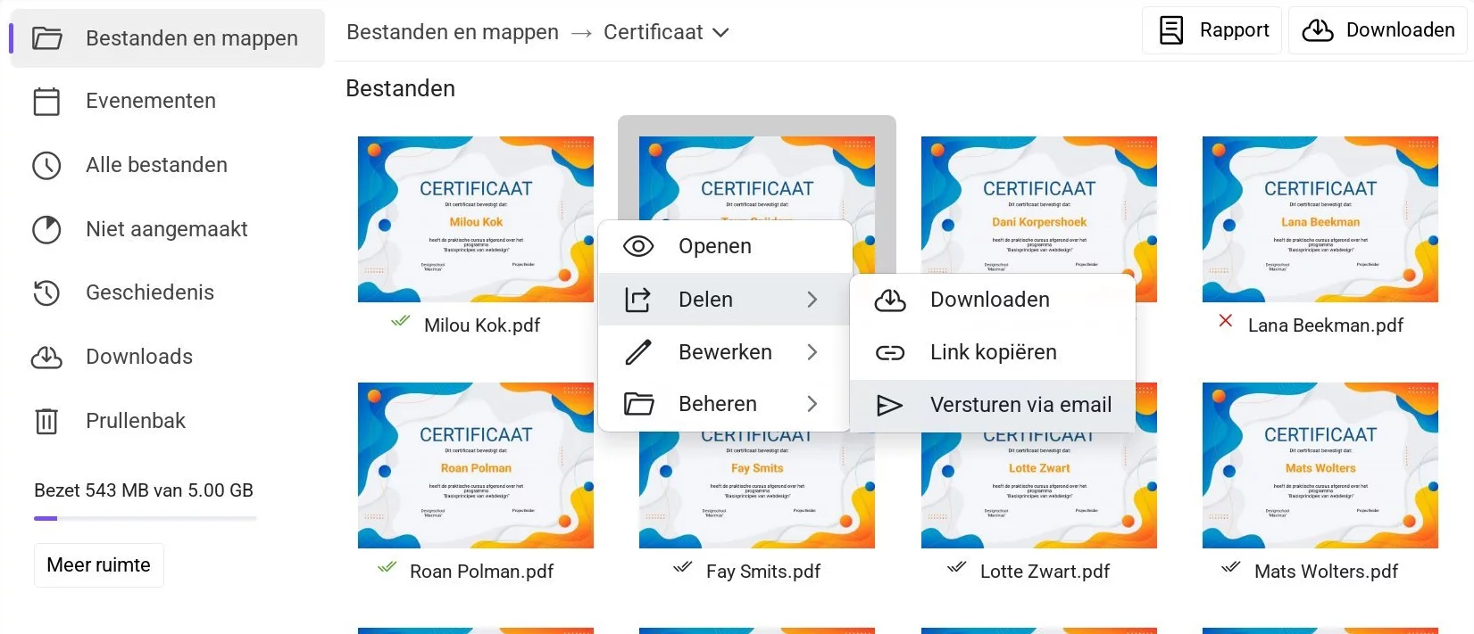 Optie 'Verzenden via e-mail' in het contextmenu van een bestand