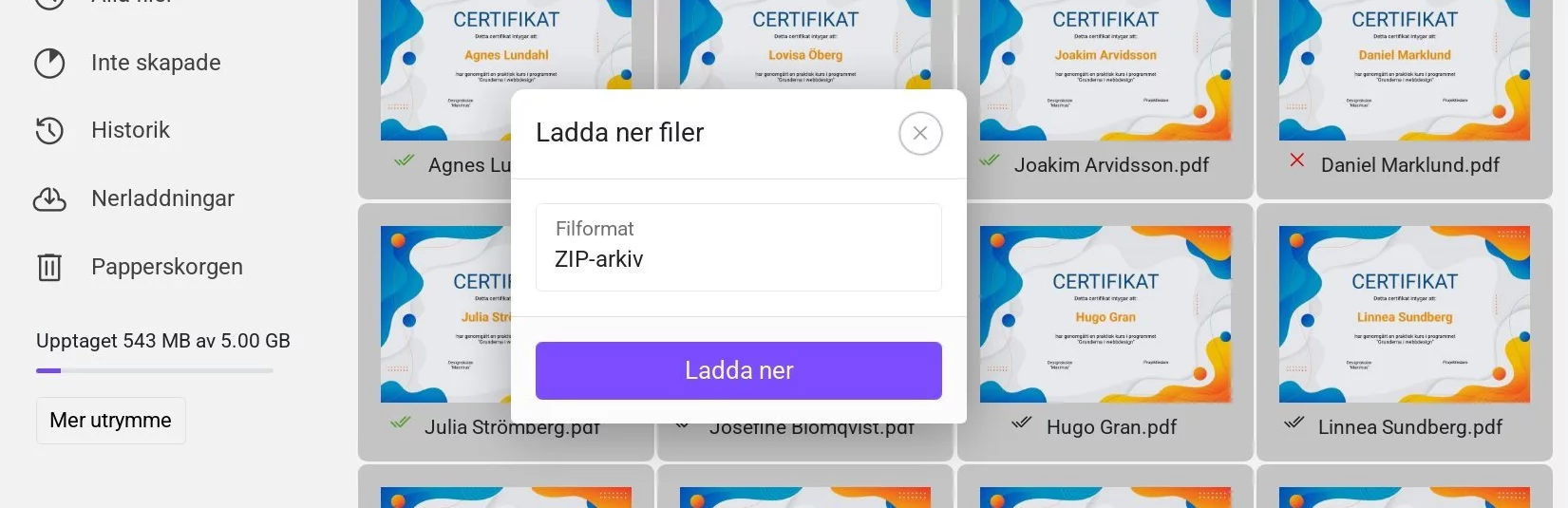 Ladda ner valda filer - välj filformat