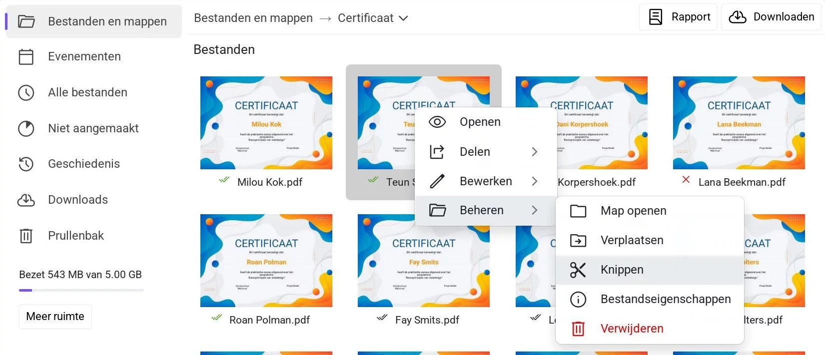 Contextmenu van een bestand in Drive met de optie 'Knippen' geselecteerd