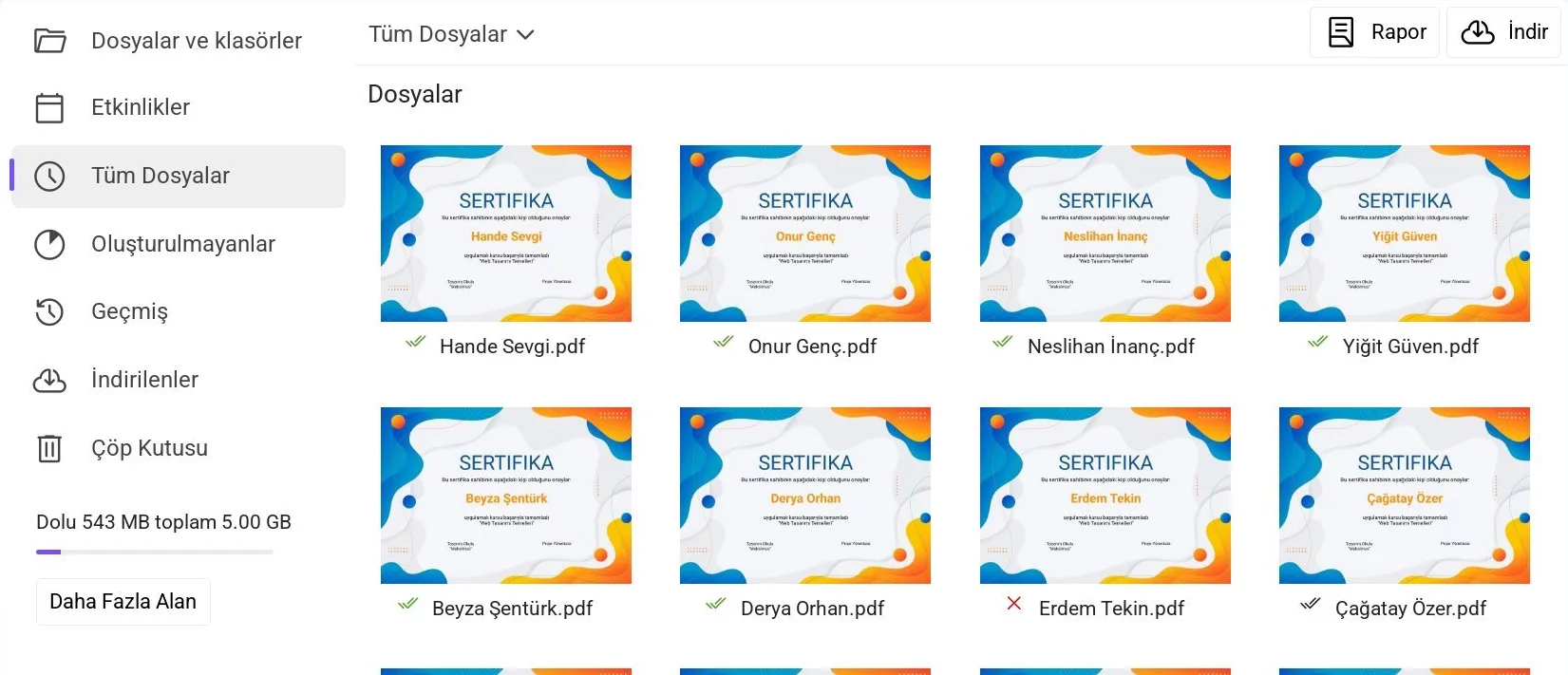 Disk üzerinde «Tüm Dosyalar» sayfası